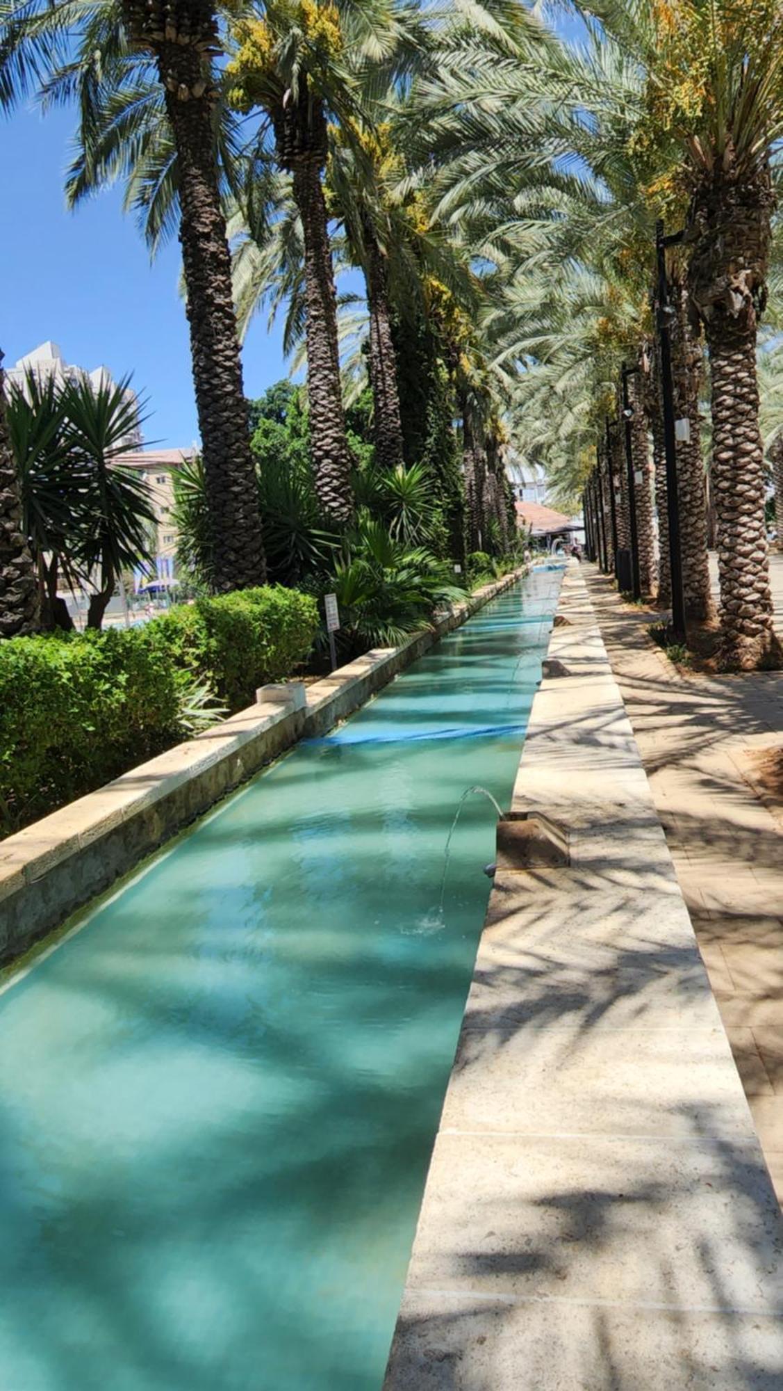 יחידת דיור Appartement Risjon Letsion Kamer foto